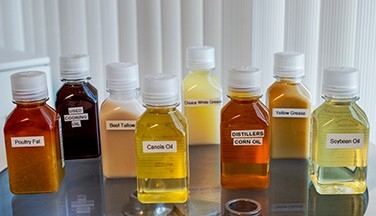 Sample bottles of raw materials used to make biodiesel